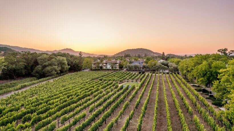 The Estate Yountville